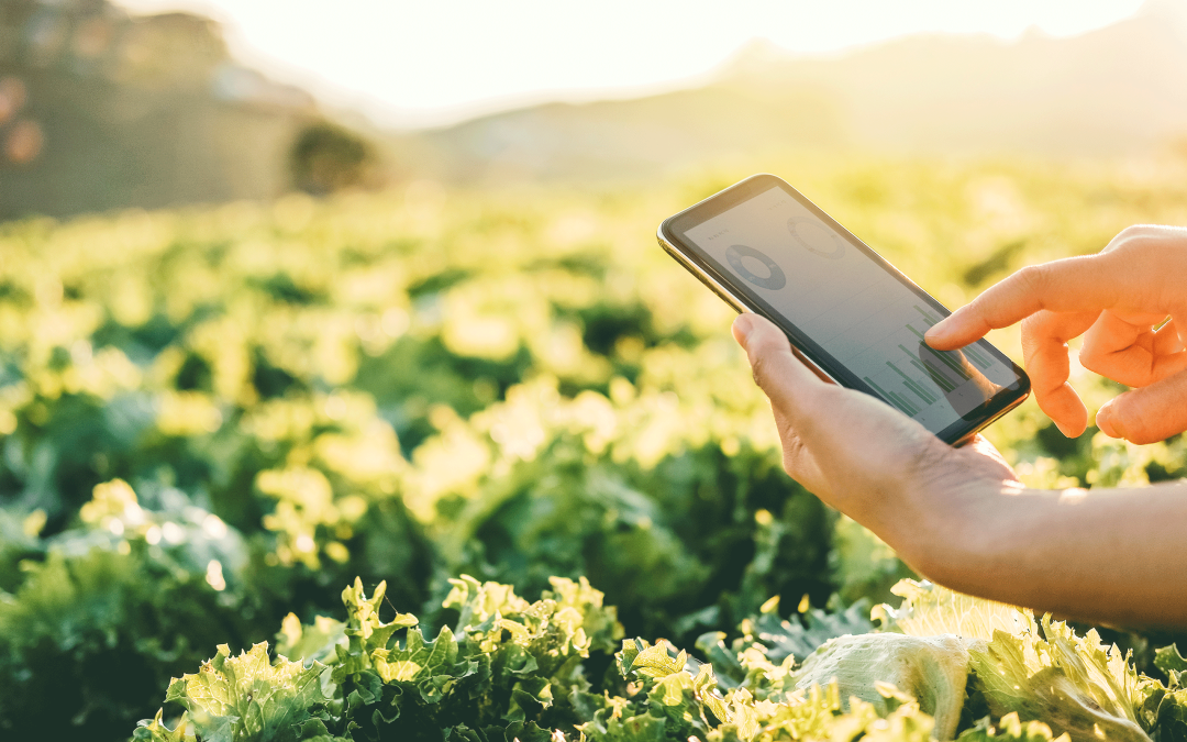 Taylor Farms transforms network management with a unified single-source solution